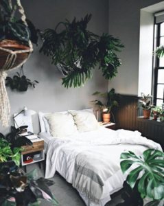 planten in je slaapkamer - urban jungle wondere woon wereld